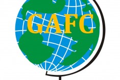 Công Ty TNHH Kiểm Toán Và Tư Vấn Tài Chính Toàn Cầu ( GAFC)